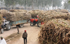 Cane growers up in arms over ~17 crore dues