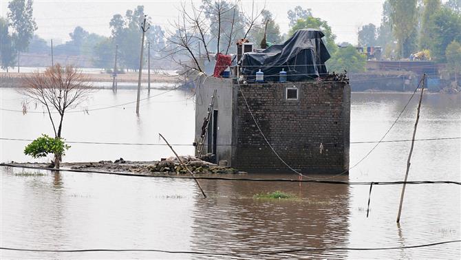Jalandhar: 2 months on, no end to sufferings of flood-hit