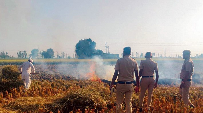 Karnal: Eight teams formed to check stubble-burning