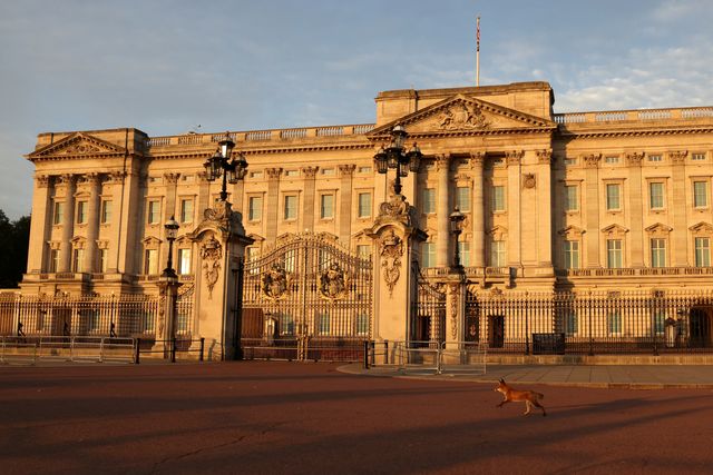 Man arrested for climbing over wall near Buckingham Palace stables