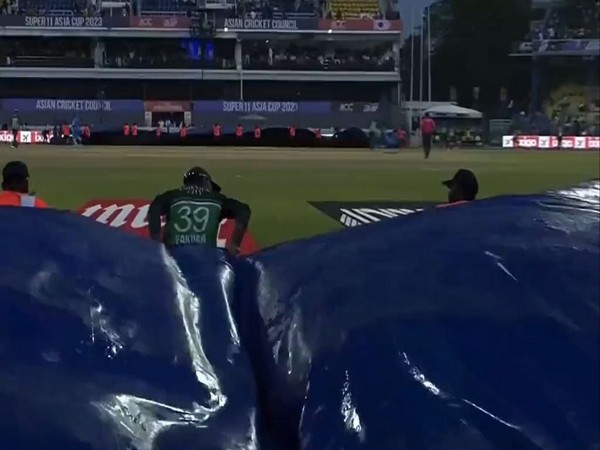 Asia Cup: Pakistan batter Fakhar Zaman helps ground staff cover pitch as rain interrupts India-Pak clash