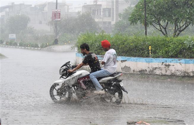 Rain in Chandigarh, surrounding areas brings relief from sultry weather