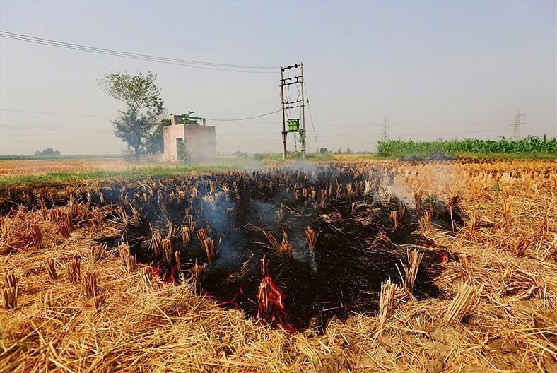 47 Ambala villages under vigil for stubble-burning