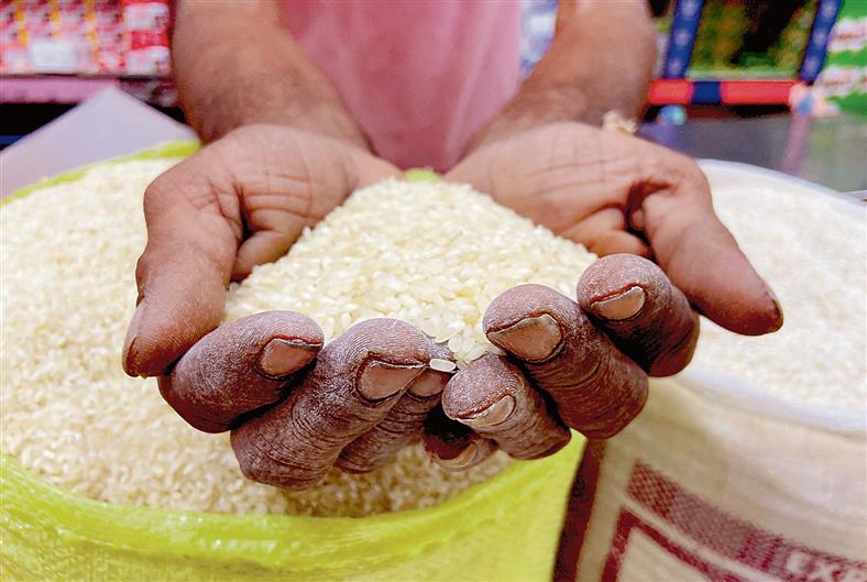 Rice exporters draw a blank at international food expo, blame MEP