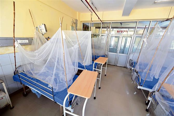 Dengue patient count 211 in Ludhiana district