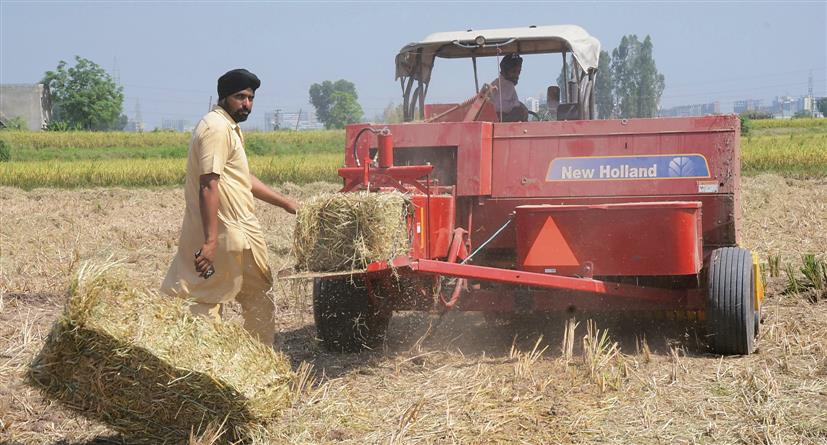 Cash incentive for scientific handling of stubble in Punjab a far cry due to fund crunch