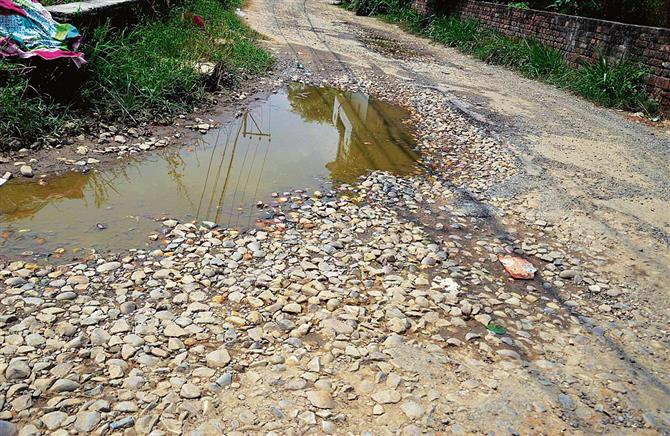 Ludhiana Ward Watch Ward No 34: Ishar Nagar areas in state of complete neglect