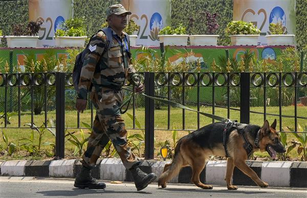 Tight security in New Delhi for G20 Summit, traffic restrictions in place :  The Tribune India