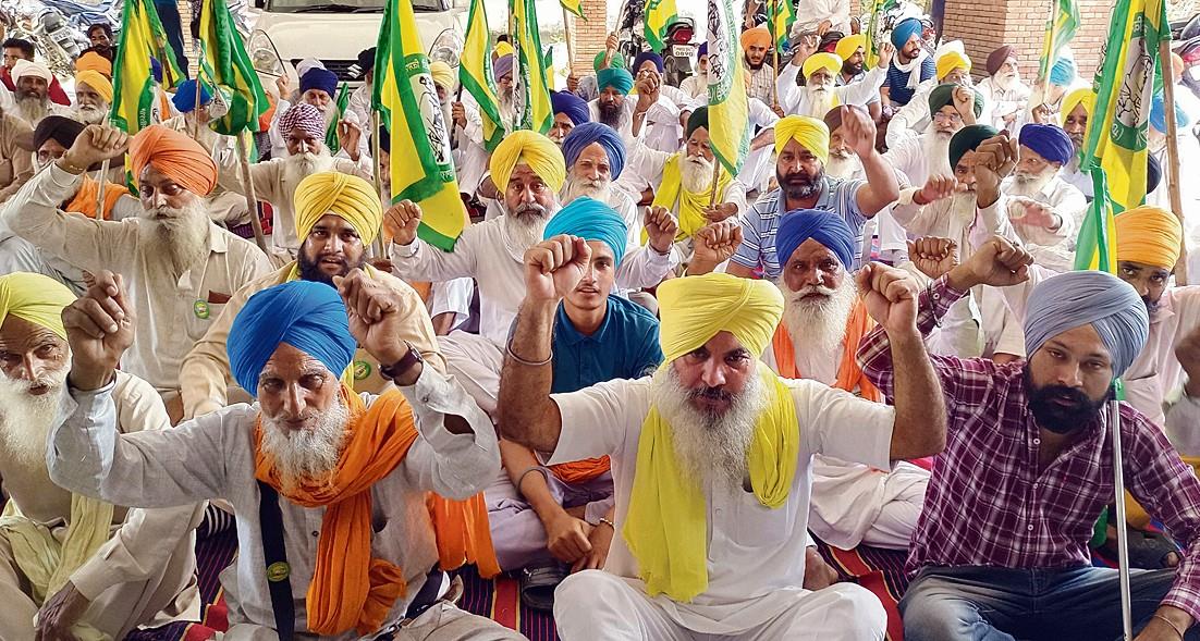Farmers stage dharna, demand compensation for crop loss