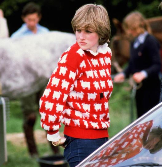 Princess Diana's sweater fetches Rs 9 crore at auction