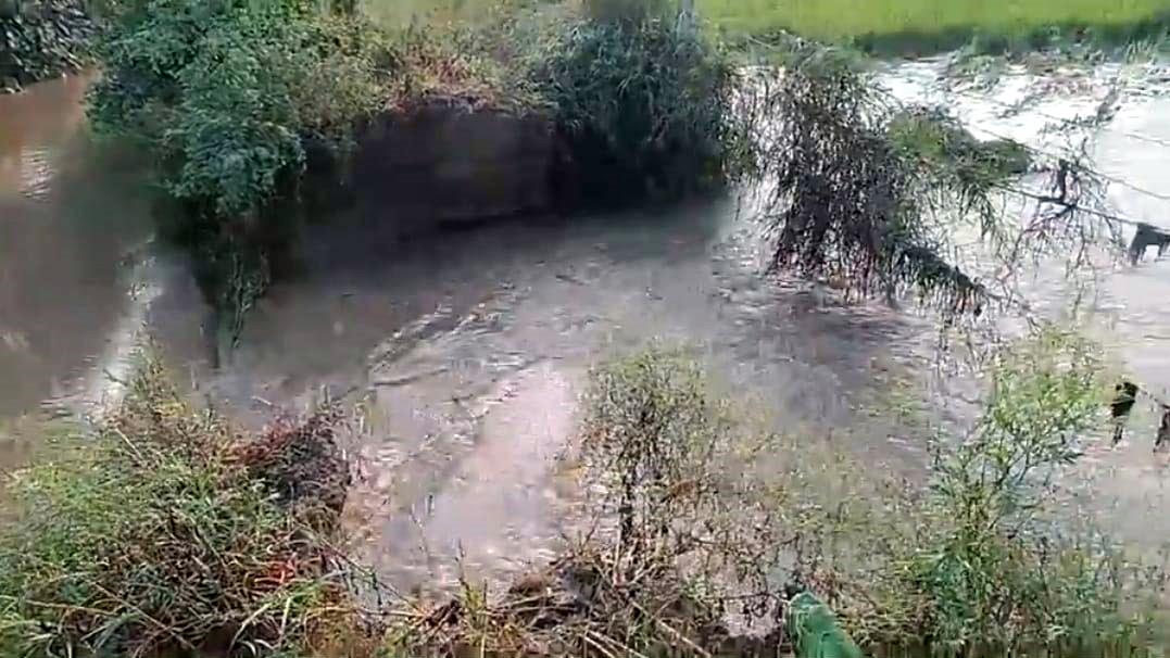 Breach in Abohar; fields submerged