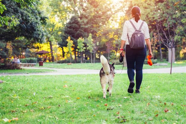 North India’s first dog park opens in Punjab’s Ludhiana