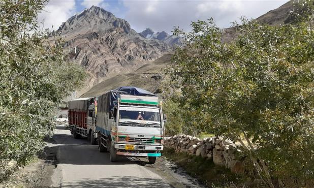 Kinnaur: Trucks use Gramphu road to transport apple, peas