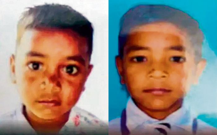 2 minor brothers die of snakebite in Tarn Taran