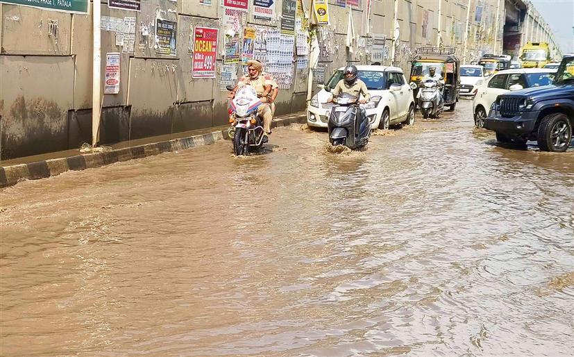 Rain floods royal city Patiala, residents slam MC