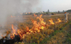 243 officials to keep tab on stubble burning in district