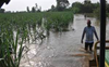 Farm unions demand compensation for crop loss due to floods