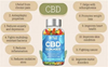 Blue Vibe CBD Gummies Reviews [Hoax or Real] Consumer Reports, Website, Amazon Price, Does it Work for Diabetes, For ED!