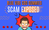 Blue Vibe CBD Gummies Reviews Scam: Any Side Effects Reported? Be Aware Before You Buy!