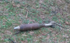Live mortar shell found, neutralised