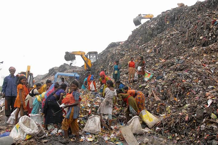 Much touted Rs 37-crore waste biomining project hanging fire