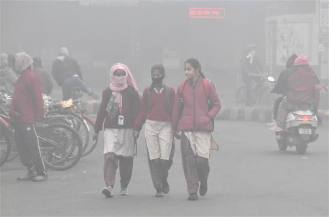Patiala coldest in Punjab at 3.1°C, Mahendragarh in Haryana shivers at 2.3°C; dense fog likely for 5 more days