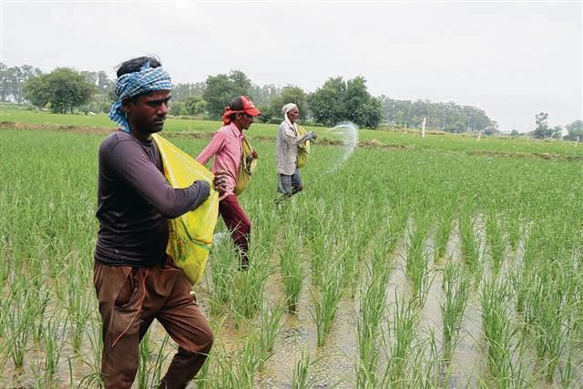 Haryana Congress leader Randeep Surjewala accuses govt of exploiting farmers