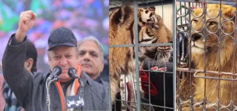 Lion, tiger at Pakistan ex-prime minister Nawaz Sharif's Lahore rally; video goes viral
