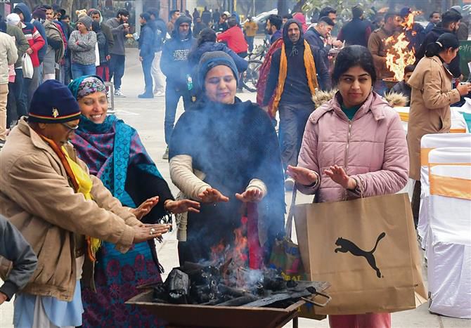 Coldest January day since 2013, max temperature in Chandigarh drops to 9.4°C