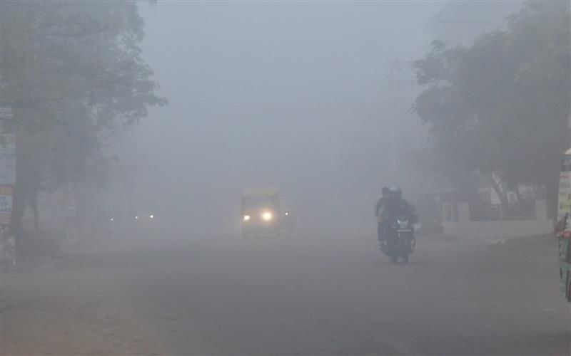 Fog affects flight schedule in Chandigarh; here are the flights that are cancelled or delayed