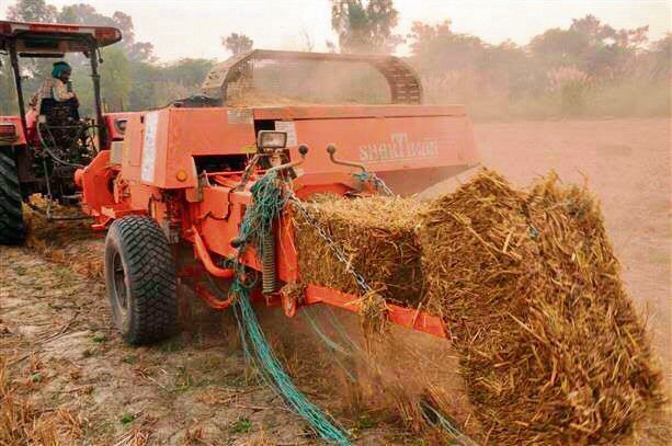Punjab: Notice to 2 top officers over missing straw machines, withdrawn