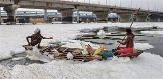 Delhi again blames Haryana for rising ammonia in Yamuna river