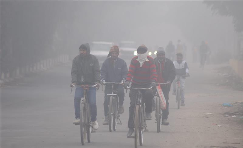 Dense fog engulfs Chandigarh; disrupts visibility in parts of Punjab and Haryana