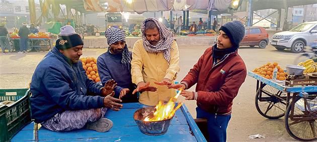 Cold conditions to continue in Haryana, dry spell worrisome for farmers