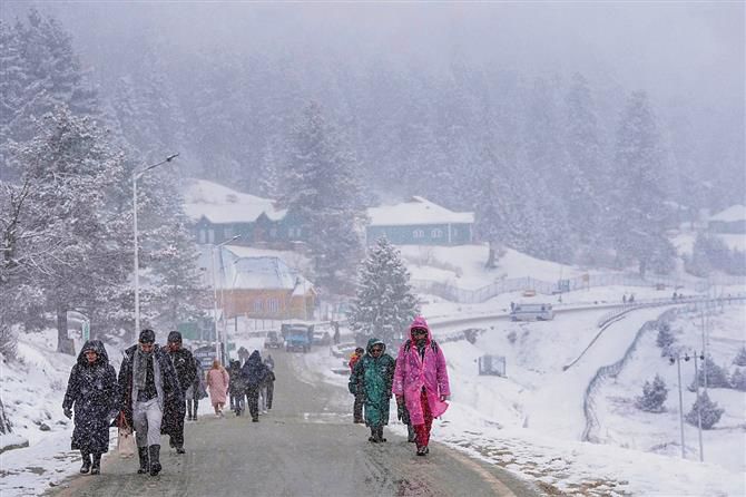 Snowfall brings cheer to tourists in Kashmir