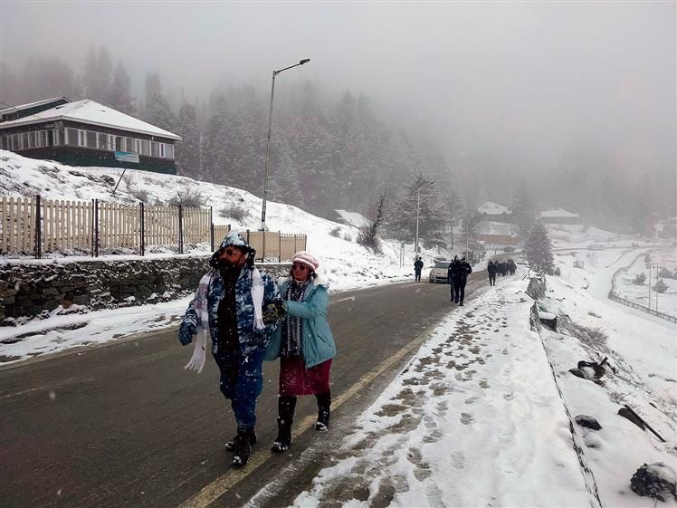 Snowfall in Kashmir brings cheer to tourism industry