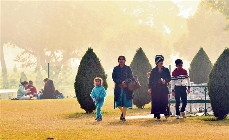 After two more foggy days, maximum temperature to touch 19° C in Chandigarh