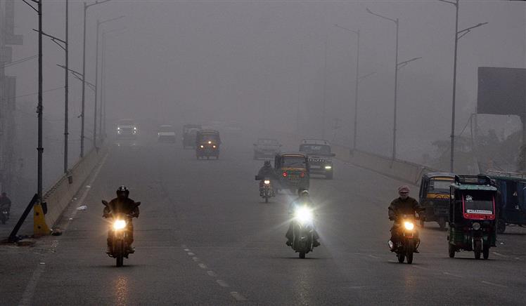 Dense fog makes a comeback after two days respite in Amritsar district
