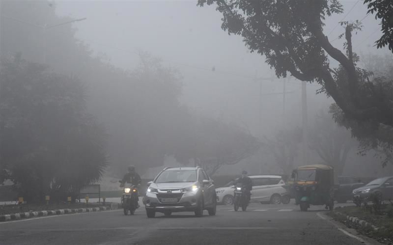 Chandigarh shivers at 3.6 degrees Celsius as cold wave grips Punjab and Haryana