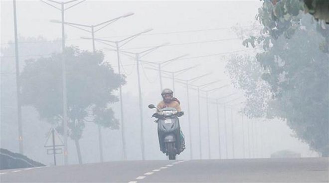 No respite from foggy weather in Chandigarh : The Tribune India