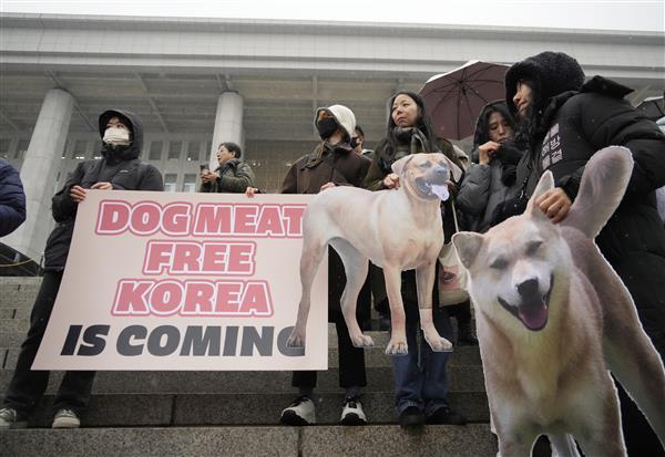 South Korea's parliament passes landmark ban on production and sales of dog meat