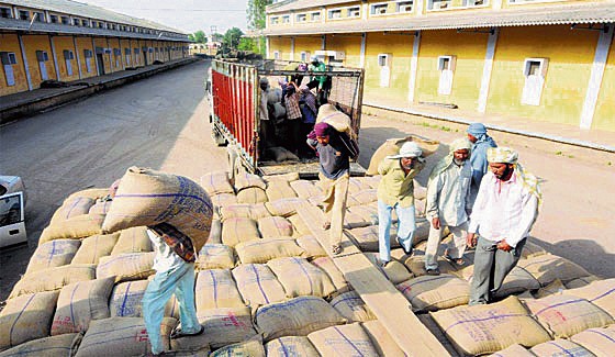 FCI to build more godowns to boost storage capacity