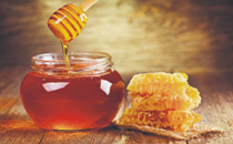 Punjab awarded for Bathinda honey in Delhi