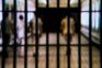 NHRC monitor visits Ludhiana Central Jail