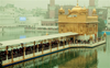 To usher in new year, devotees make beeline for Golden Temple