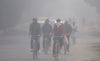 Cold wave intensifies in Punjab, Haryana; dense fog at various places