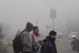 Dense fog envelops north India; 30 Delhi-bound trains run late by up to 6 hours