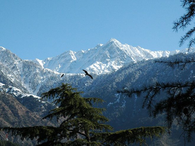 Dhauladhar hills wear white mantle