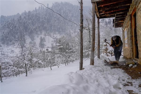 Widespread snow in Kashmir Valley; all flights cancelled at Srinagar airport; avalanche warning issued for hilly areas