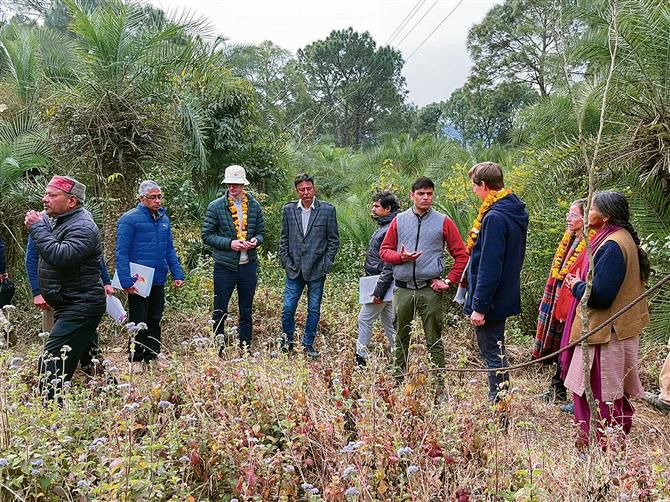 Dehra: German team inspects project to improve forest ecosystem
